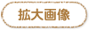 画像拡大