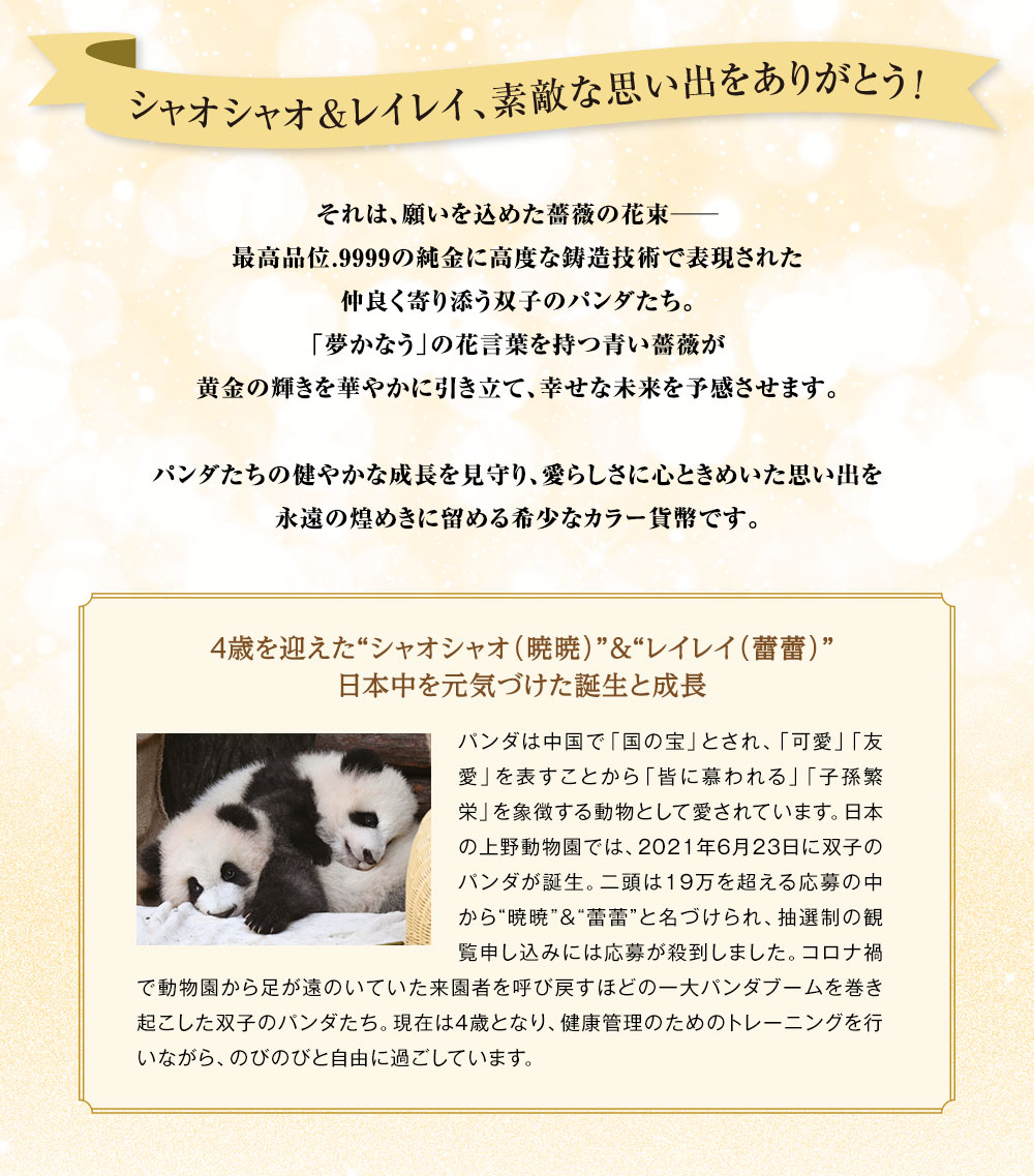 シャオシャオ＆レイレイ、素敵な思い出をありがとう！それは、願いを込めた薔薇の花束─。最高品位.9999の純金に高度な鋳造技術で表現された仲良く寄り添う双子のパンダたち。「夢かなう」の花言葉を持つ青い薔薇が黄金の輝きを華やかに引き立て、幸せな未来を予感させます。パンダたちの健やかな成長を見守り、愛らしさに心ときめいた思い出を永遠の煌めきに留める希少なカラー貨幣です。／4歳を迎えた“シャオシャオ（暁暁）”＆“レイレイ（蕾蕾）”日本中を元気づけた誕生と成長：パンダは中国で「国の宝」とされ、「可愛」「友愛」を表すことから「皆に慕われる」「子孫繁栄」を象徴する動物として愛されています。日本の上野動物園では、2021年6月23日に双子のパンダが誕生。二頭は19万を超える応募の中から“暁暁”&“蕾蕾”と名づけられ、抽選制の観覧申し込みには応募が殺到しました。コロナ禍で動物園から足が遠のいていた来園者を呼び戻すほどの一大パンダブームを巻き起こした双子のパンダたち。現在は4歳となり、健康管理のためのトレーニングを行いながら、のびのびと自由に過ごしています。