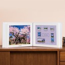 特選･日本の桜 切手アルバム　昭和・平成 記念切手コレクション 全48種