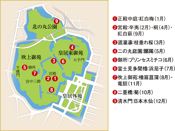 皇居内の地図