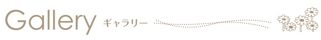 ギャラリー
