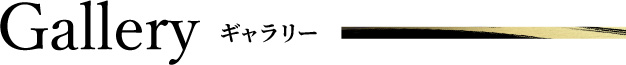 ギャラリー