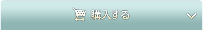 オンラインで今すぐ購入する