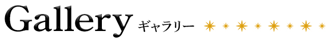 ギャラリー