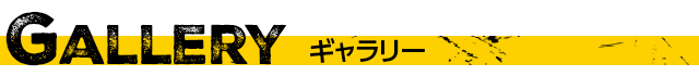 ギャラリー