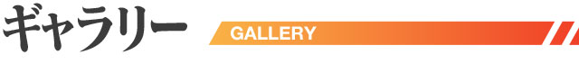 ギャラリー