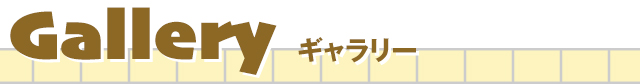 ギャラリー
