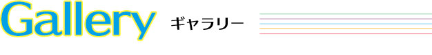 ギャラリー