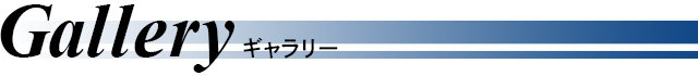 ギャラリー