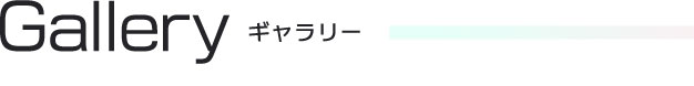 ギャラリー