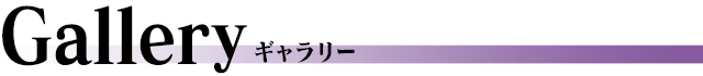 ギャラリー