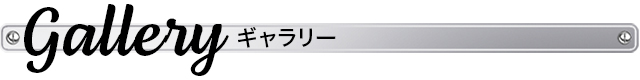 ギャラリー