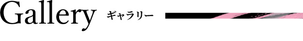 ギャラリー