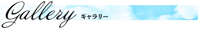 ギャラリー