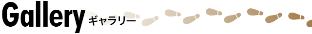 ギャラリー