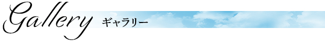 ギャラリー