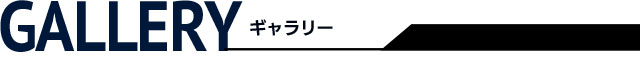ギャラリー