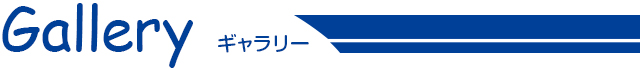 ギャラリー