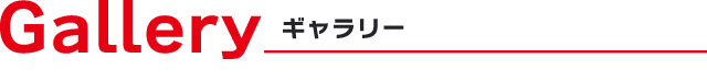 ギャラリー