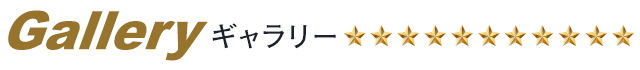 ギャラリー