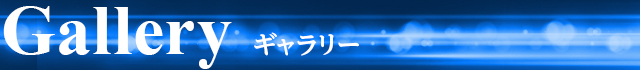 ギャラリー