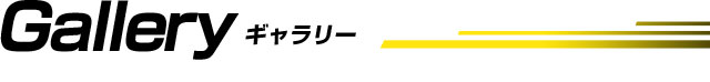 ギャラリー