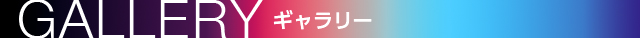ギャラリー
