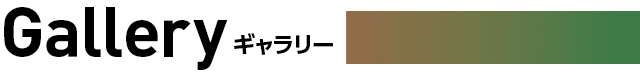 ギャラリー
