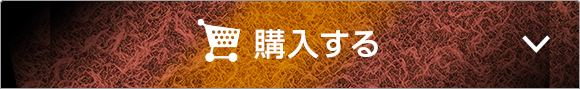 オンラインで今すぐ購入する
