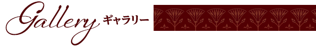 ギャラリー