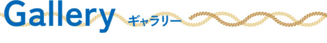 ギャラリー