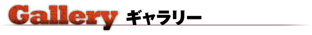 ギャラリー
