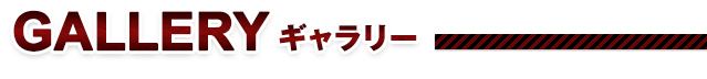 ギャラリー